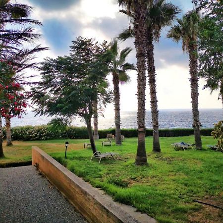 King Alexander Villa 22 Paphos ภายนอก รูปภาพ